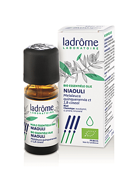 Melaleuca viridiflora - Niaouli 10ml bio 10ml